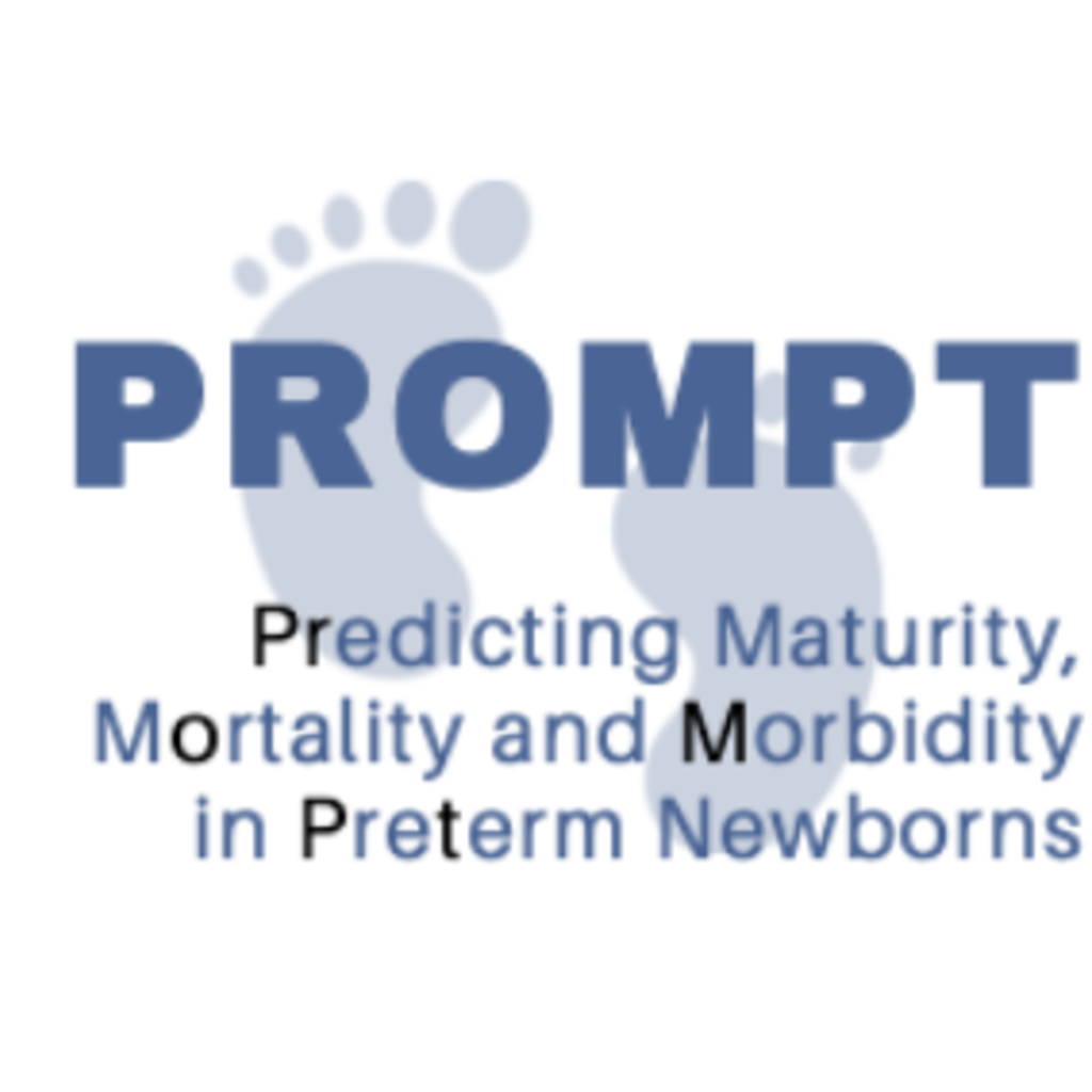 prompt