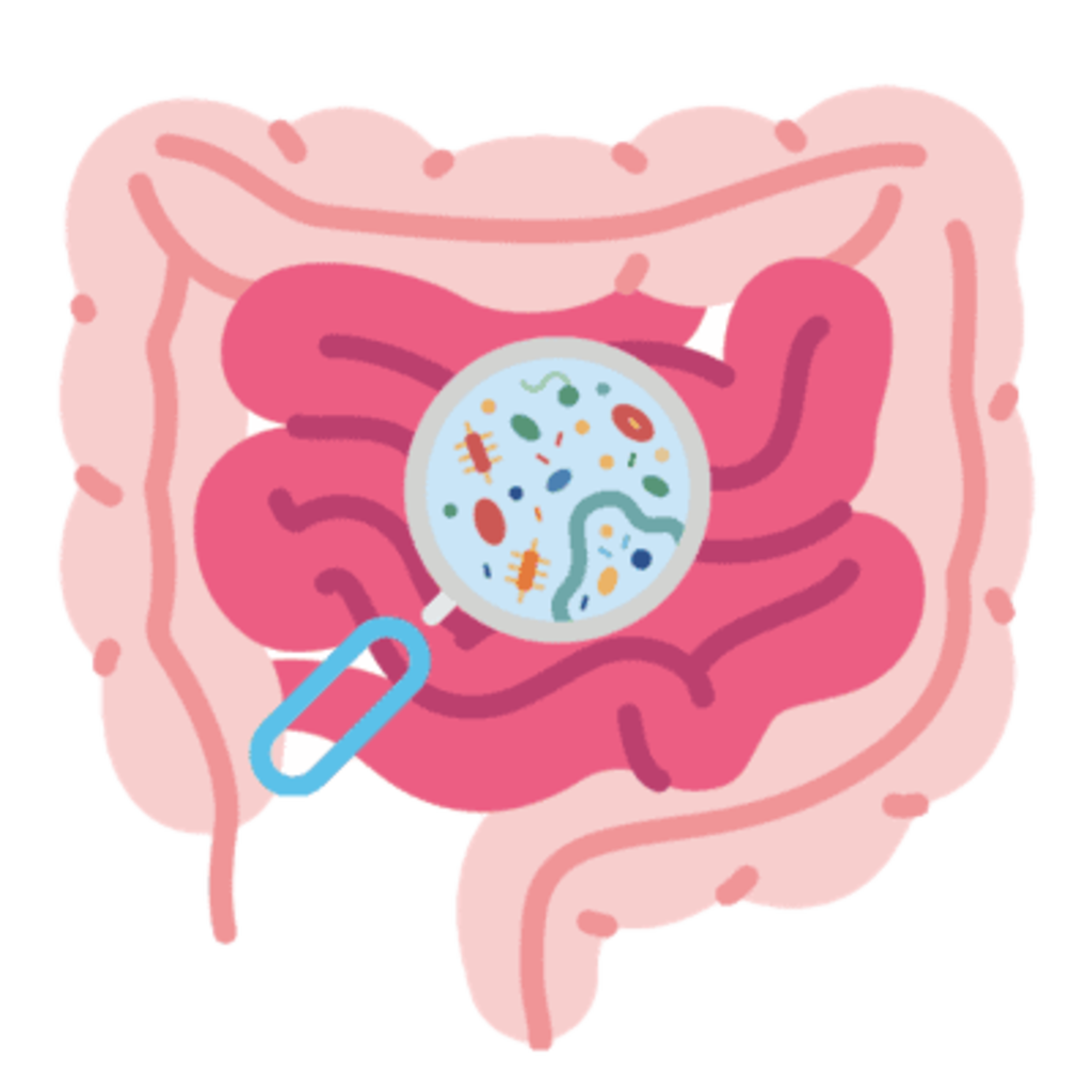 probiotics